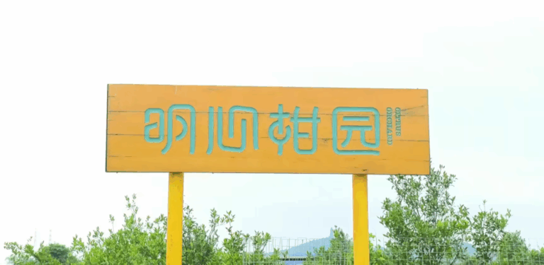 对话向上的民族品牌——时光雕琢出的文化印记